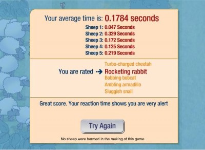 Rabbit.JPG