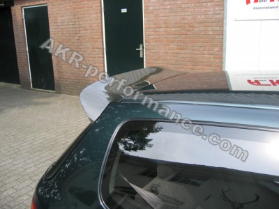 spoonwing1.jpg