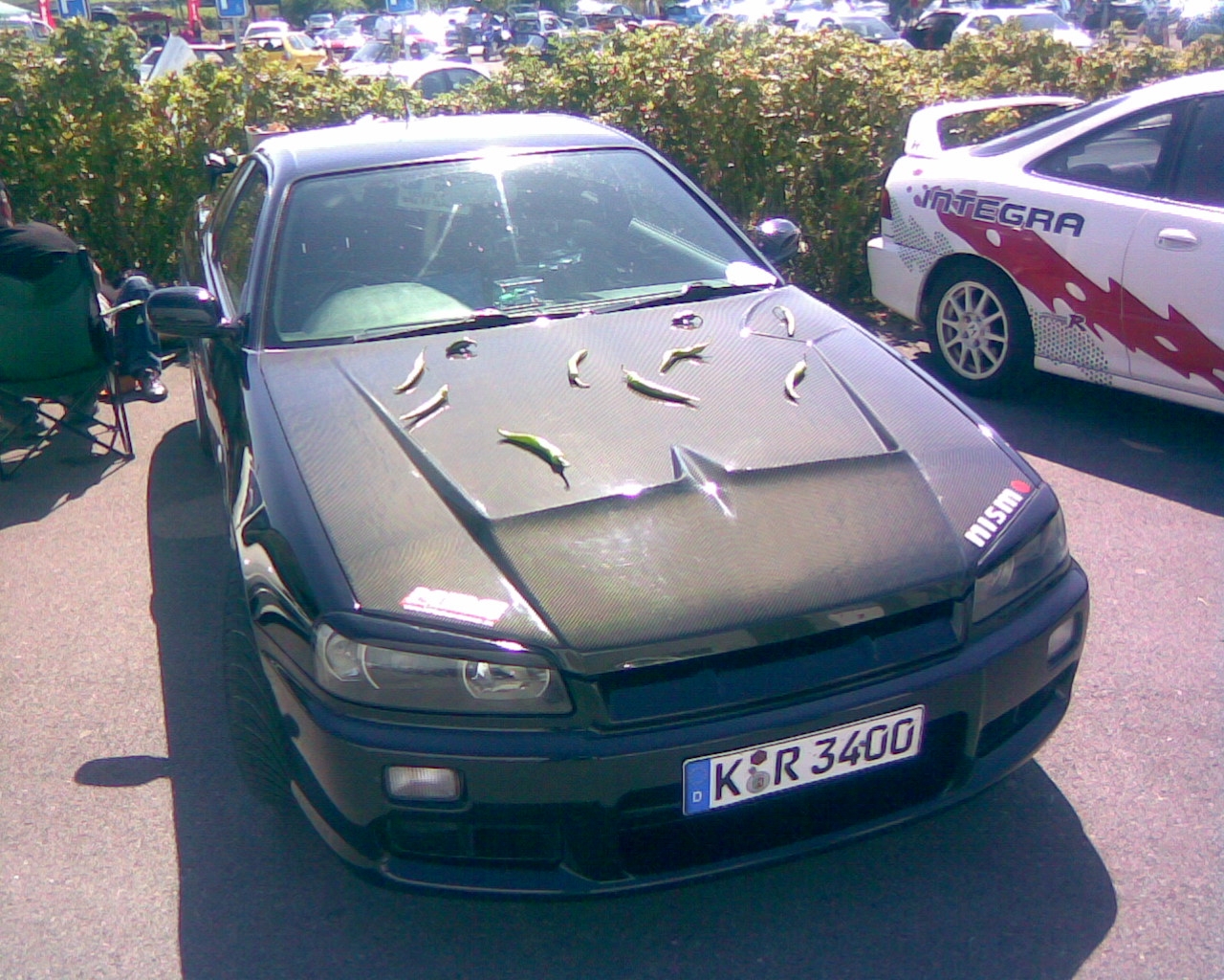 HOT skyline R34.jpg