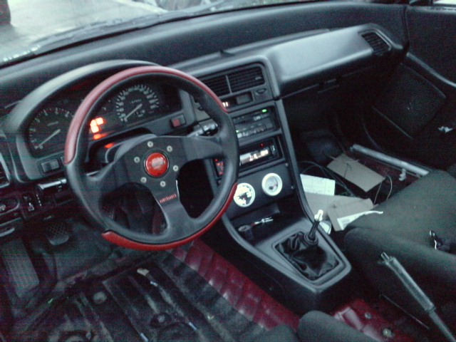 P010809_21.020001.JPG