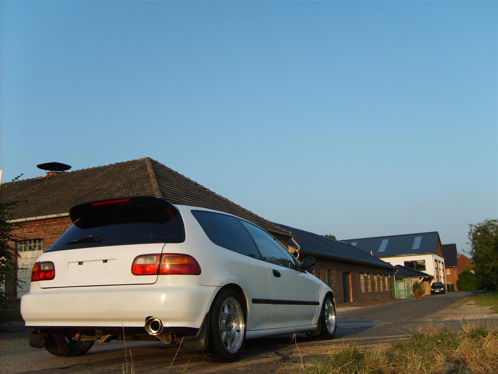SD533751 (Large).JPG