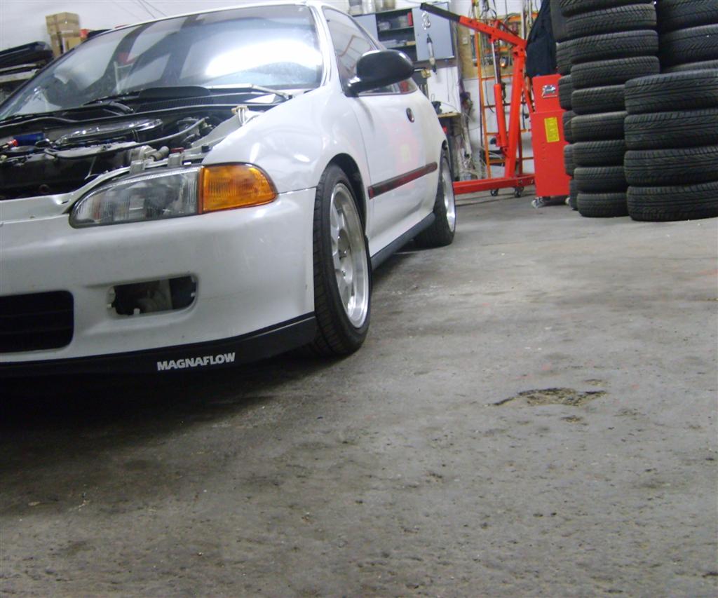 SD5338571 (Large).JPG