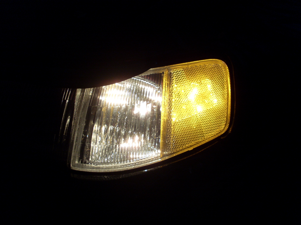 SL381179.JPG