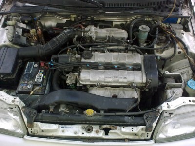 09082009069.jpg