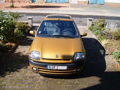 goldi.JPG