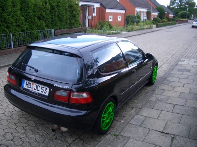 grün01.jpg
