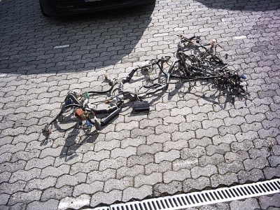 Hauptkabelbaum.JPG