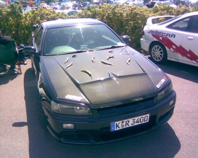 HOT skyline R34.jpg