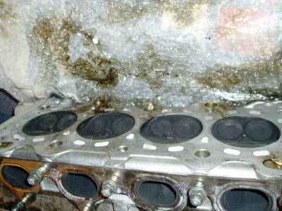 P1010005.JPG