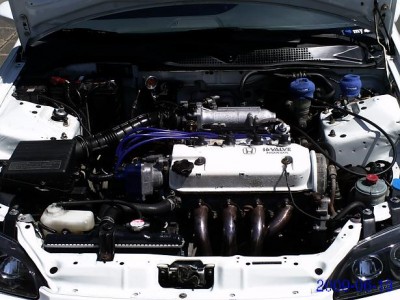 PICT0103.JPG