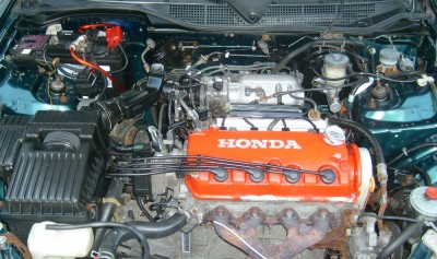 S7304080.web.JPG