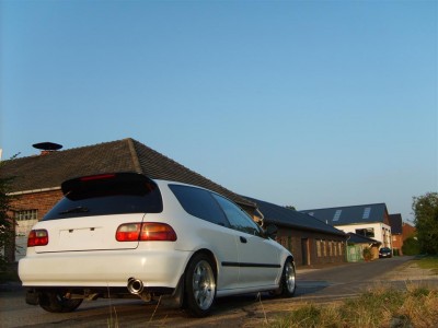 SD533751 (Large).JPG