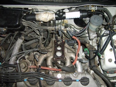 SD533957 (Large).JPG