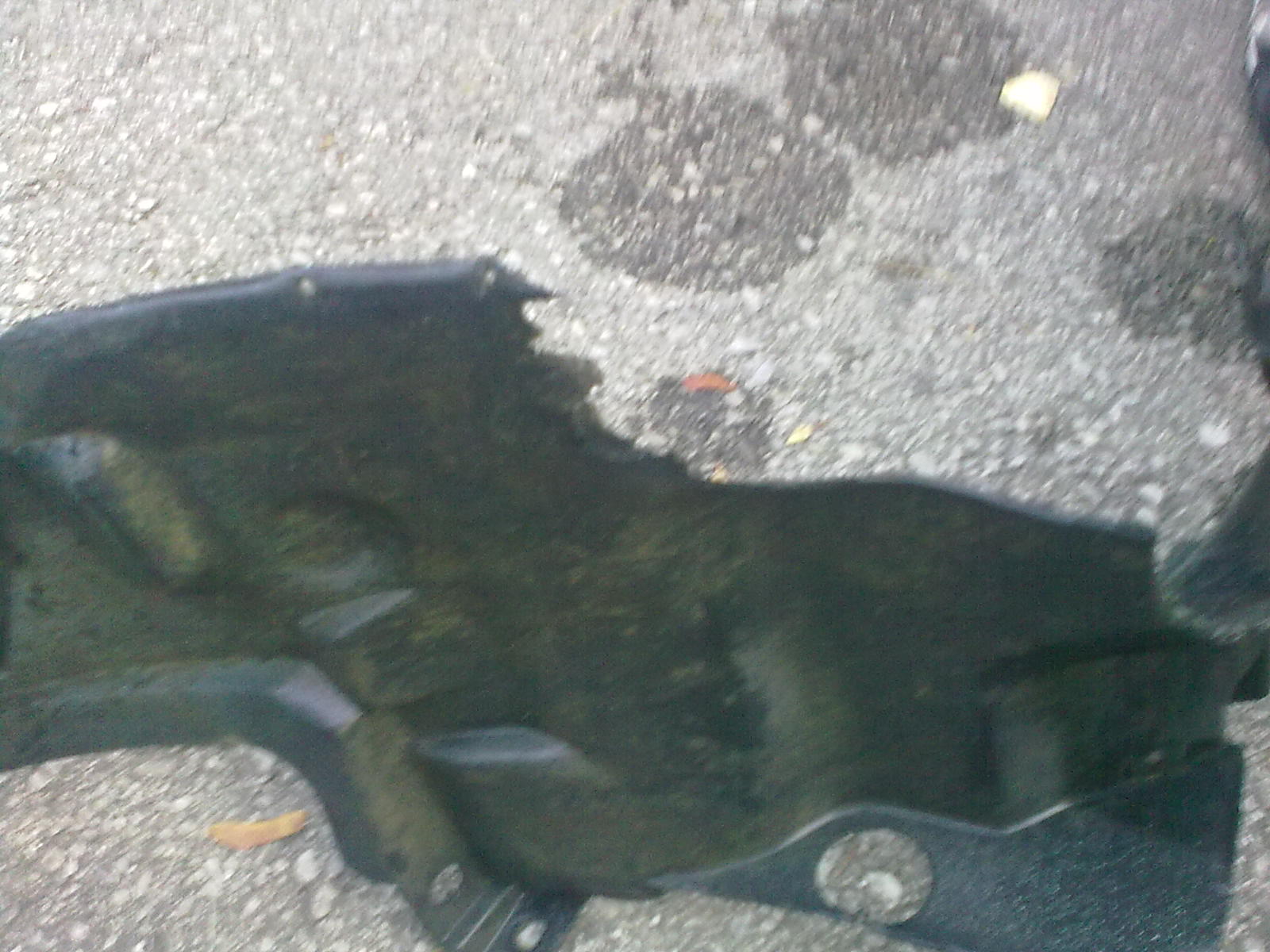 21092009386.jpg