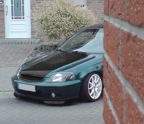 clovergreenpearl.jpg