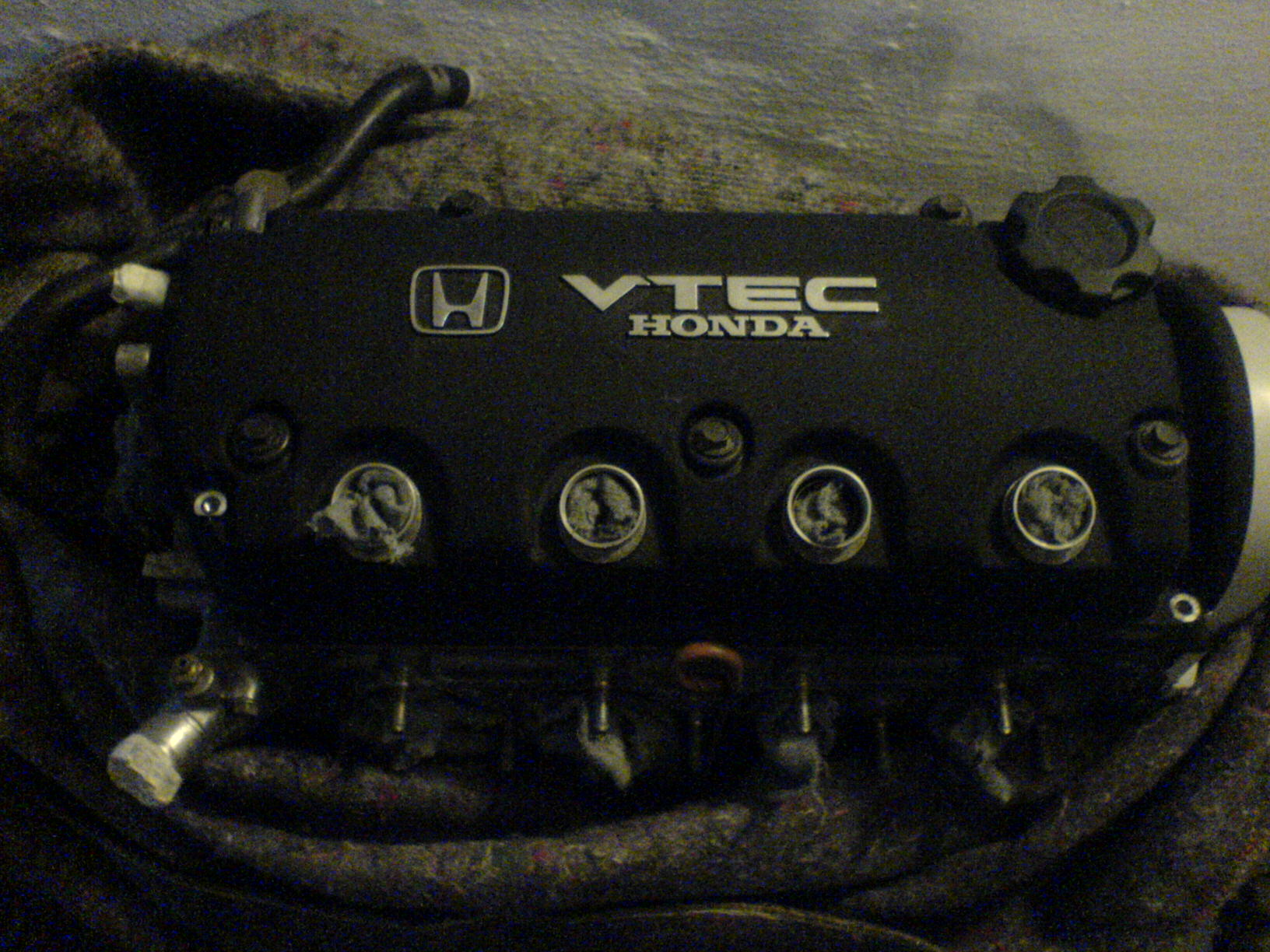 DSC08051.JPG