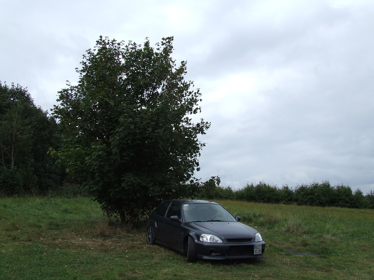 DSCF5890.JPG