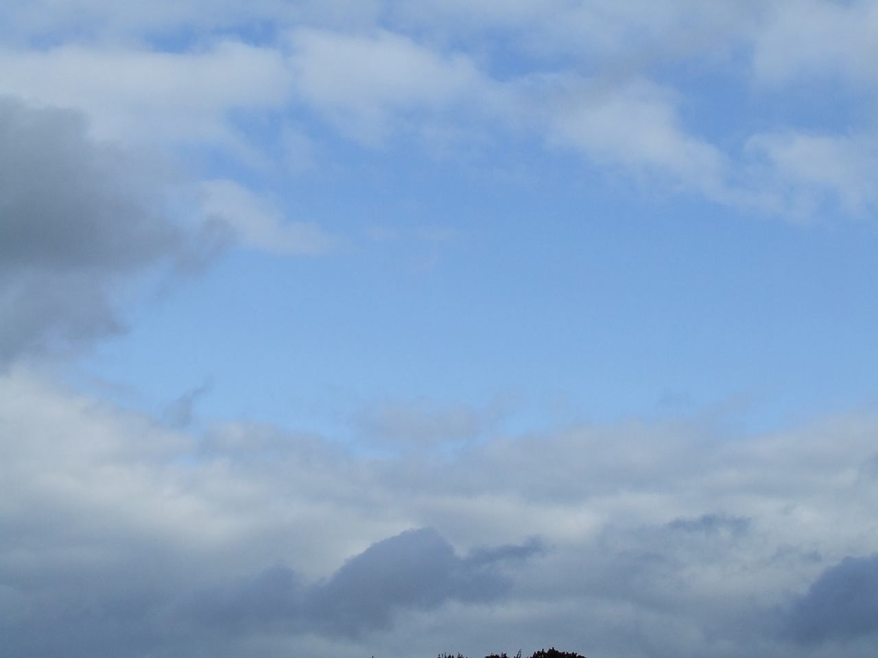 DSCF5896.JPG