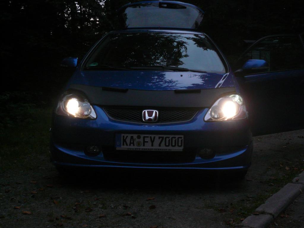 P1060744 (Large).JPG