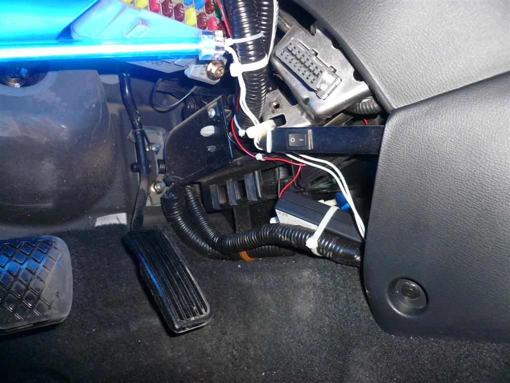 P1060761 (Large).JPG