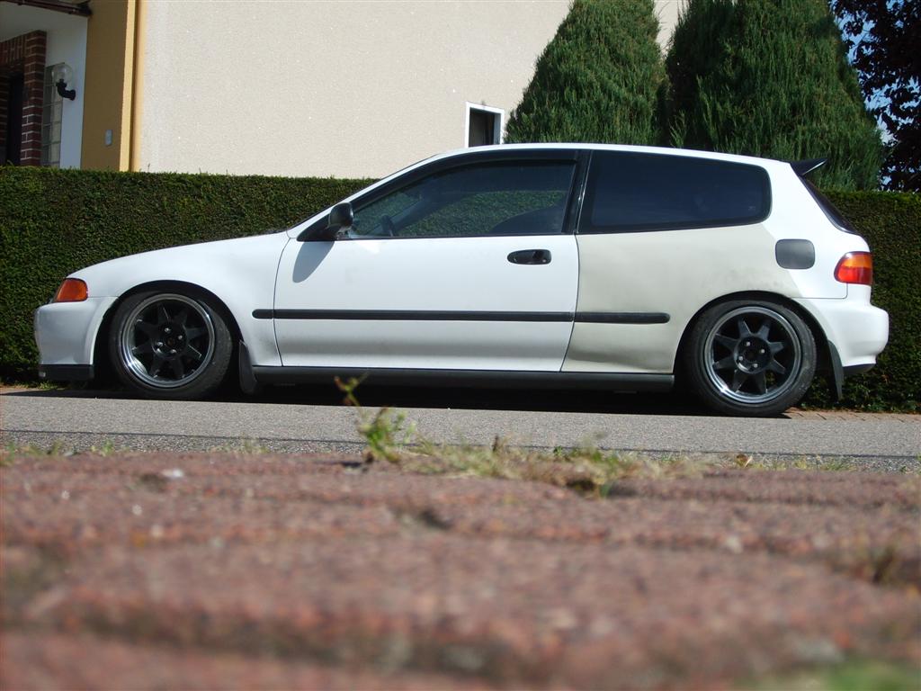 SD534118 (Large).JPG