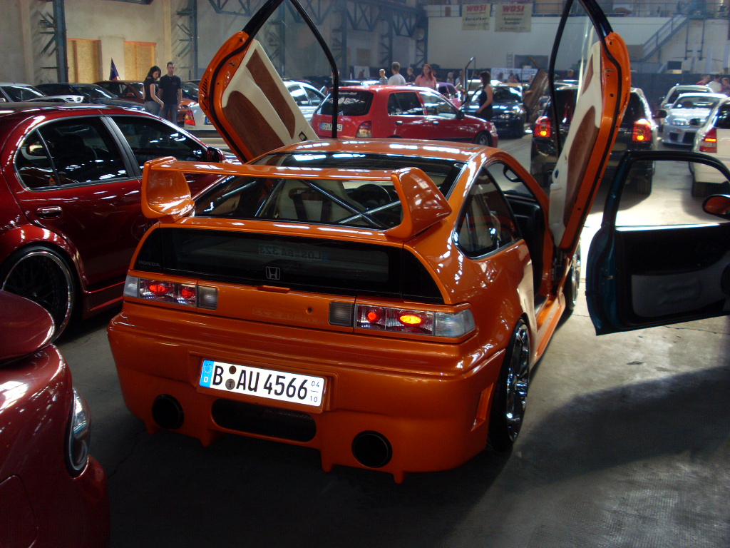 SL381514.JPG
