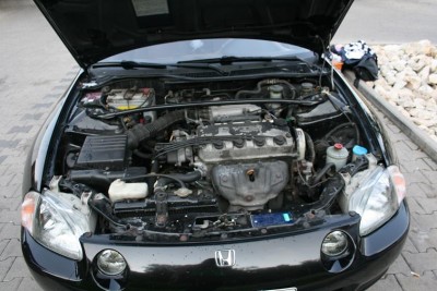 DelSol 0122.JPG