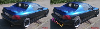 DelSol-Vor-&Nachher-HA.jpg