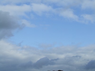 DSCF5896.JPG