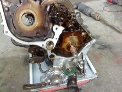 hh 119.jpg