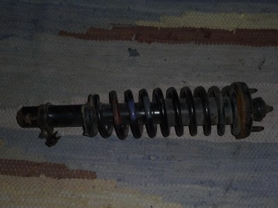 P1000596.JPG
