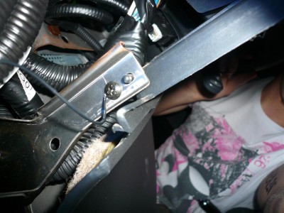 P1060758 (Large).JPG