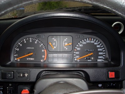 SL381411.JPG
