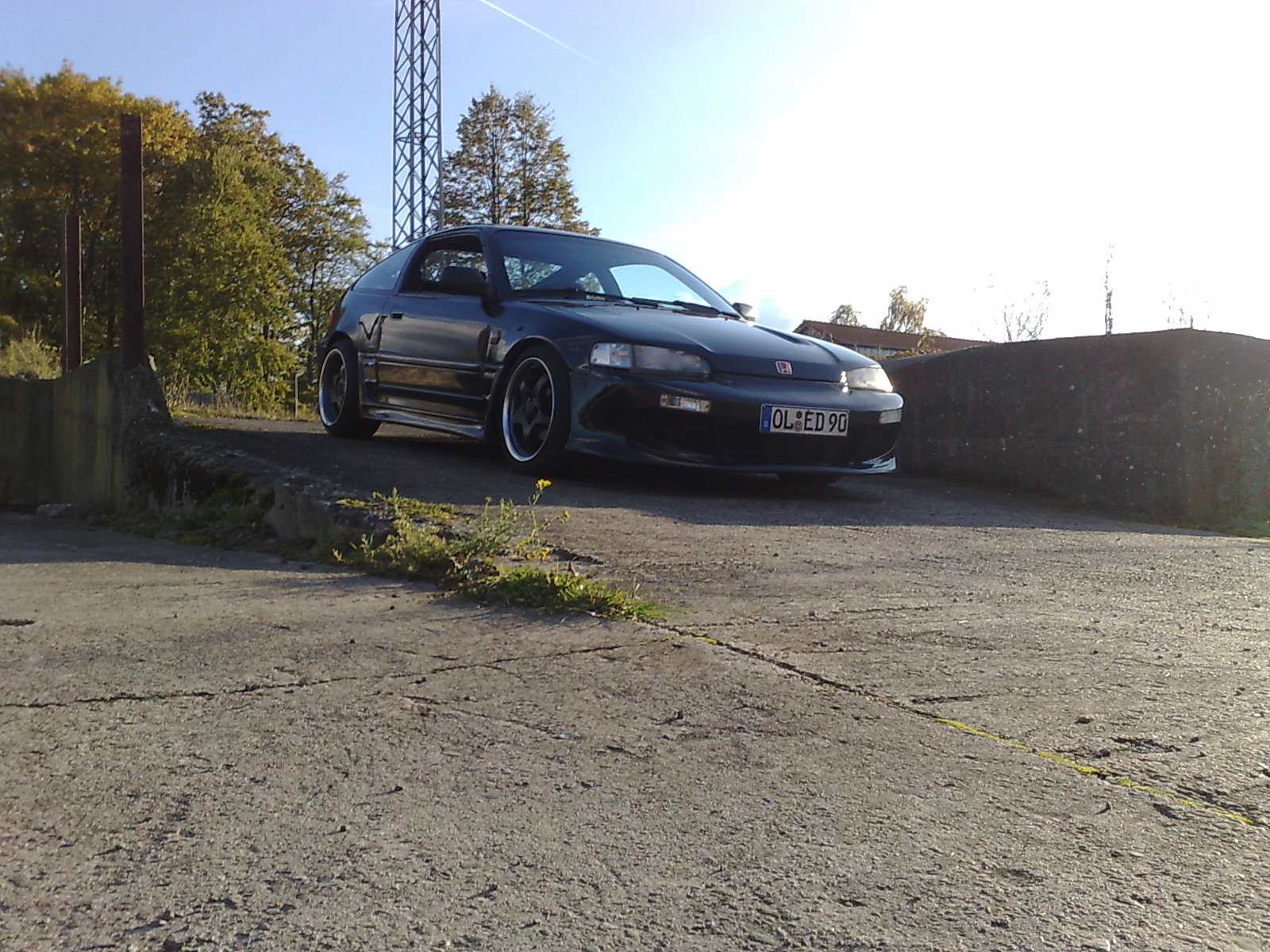 18102009253.jpg