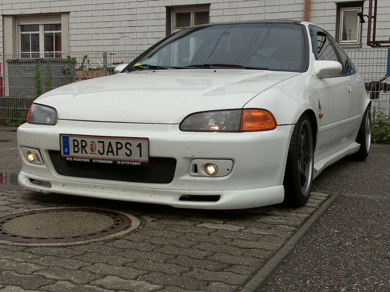 29052009239.jpg