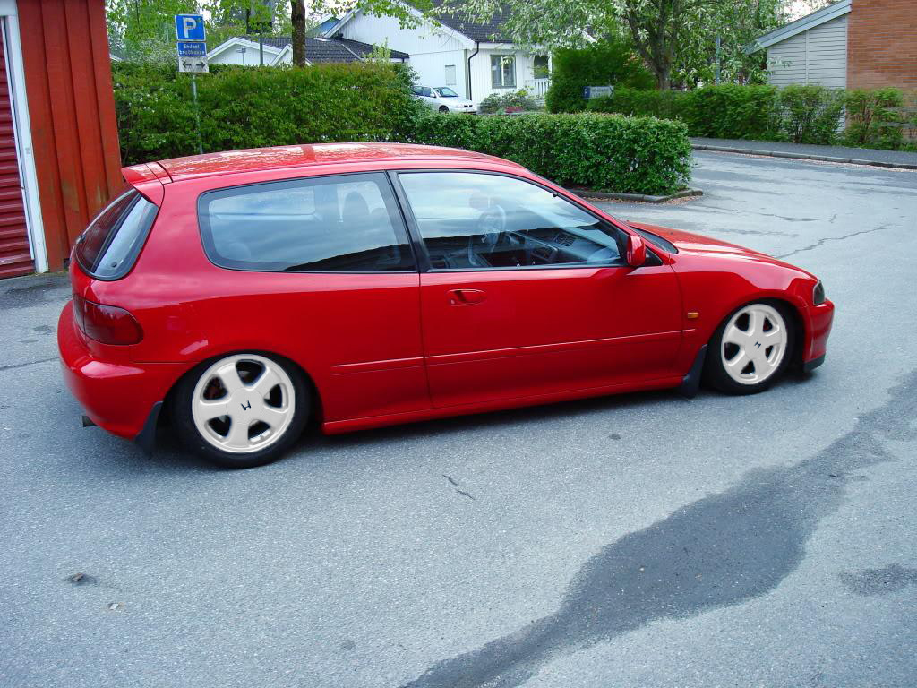 2_1249025634 Kopie1.jpg