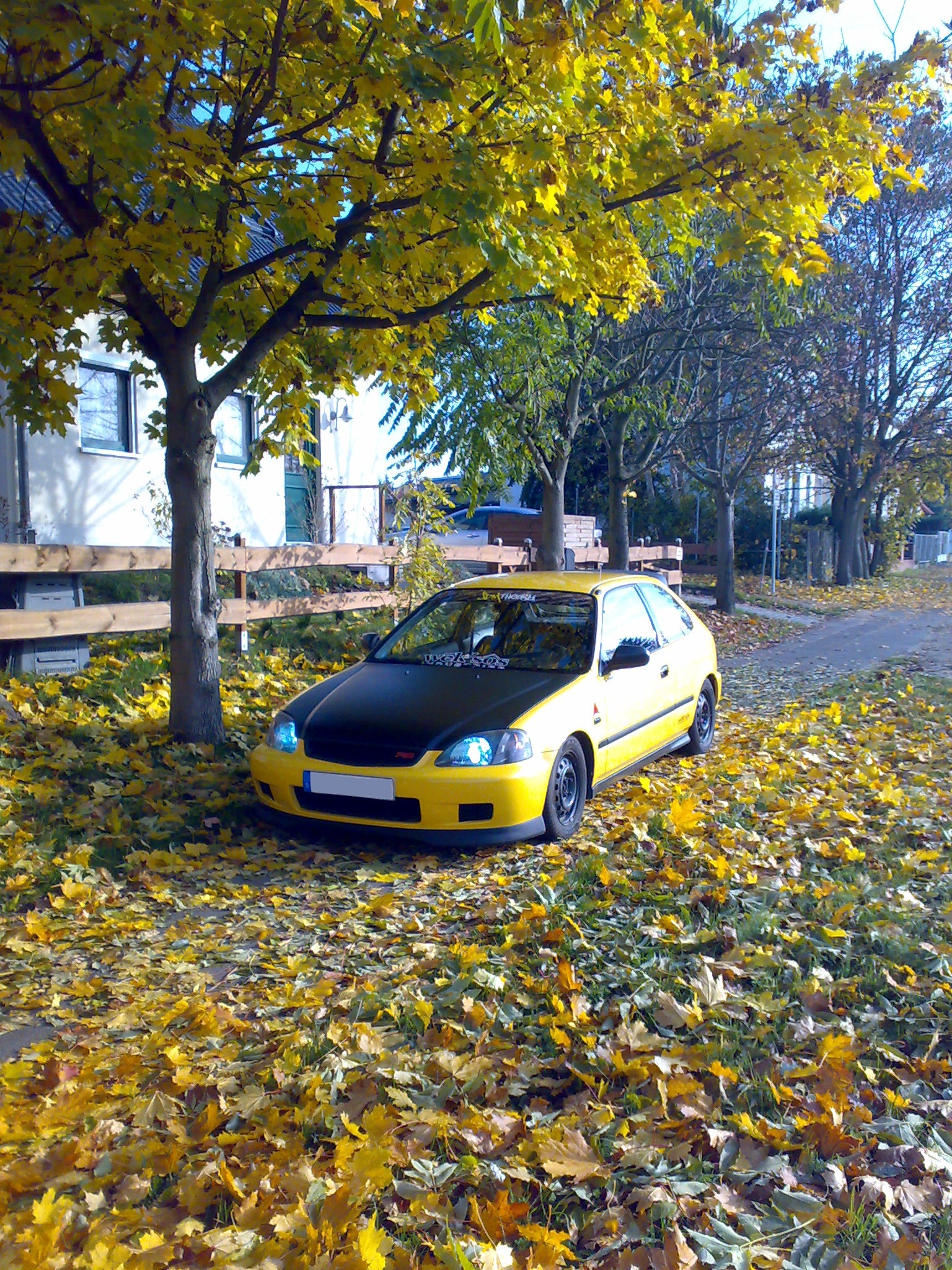 311020093137neu.jpg