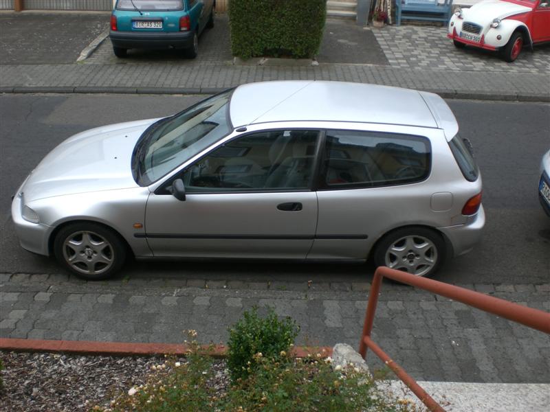 CIMG2708 (Medium).JPG