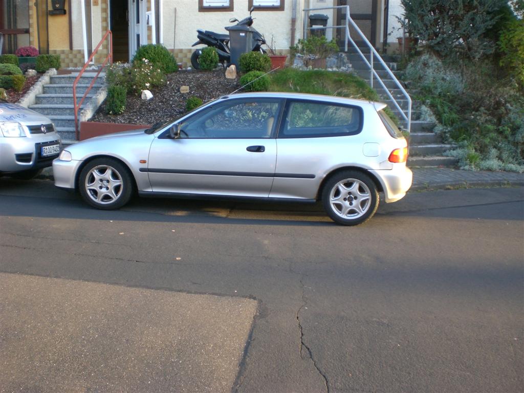 CIMG2710 (Large).JPG