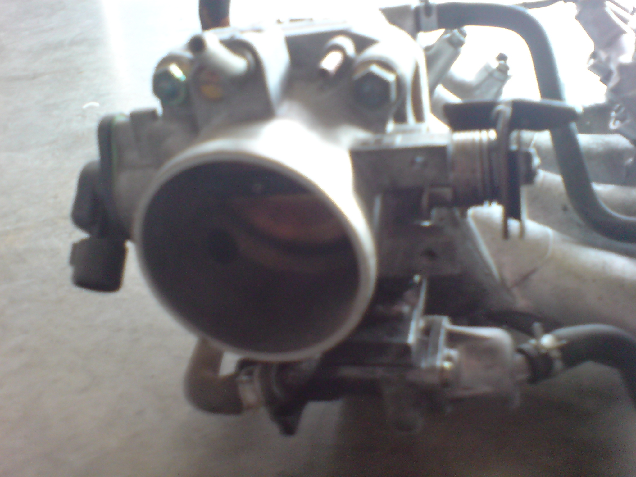 DSC00685.JPG