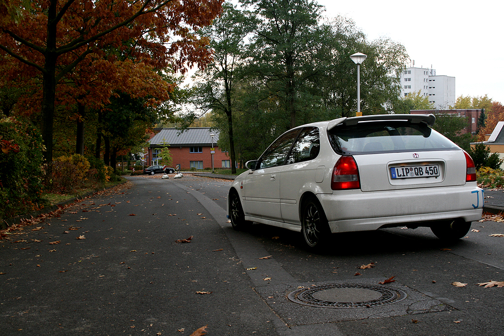 IMG_8306a.jpg