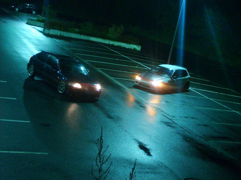 SD535582 (Large).JPG