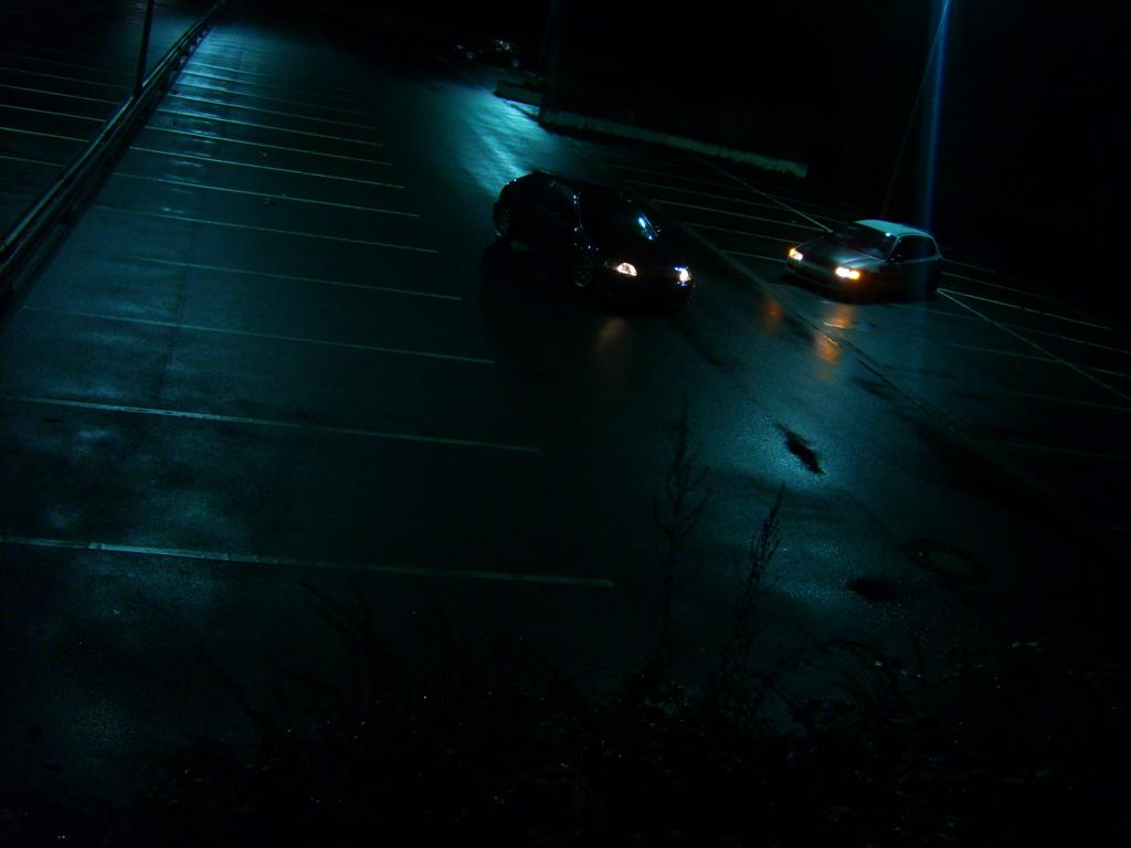 SD535584 (Large).JPG