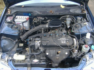 EG8_blau (3).JPG