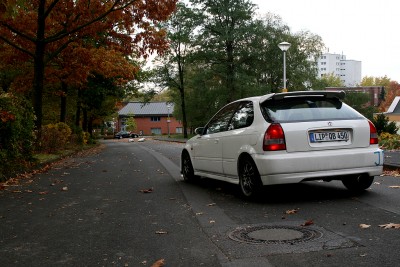 IMG_8306a.jpg