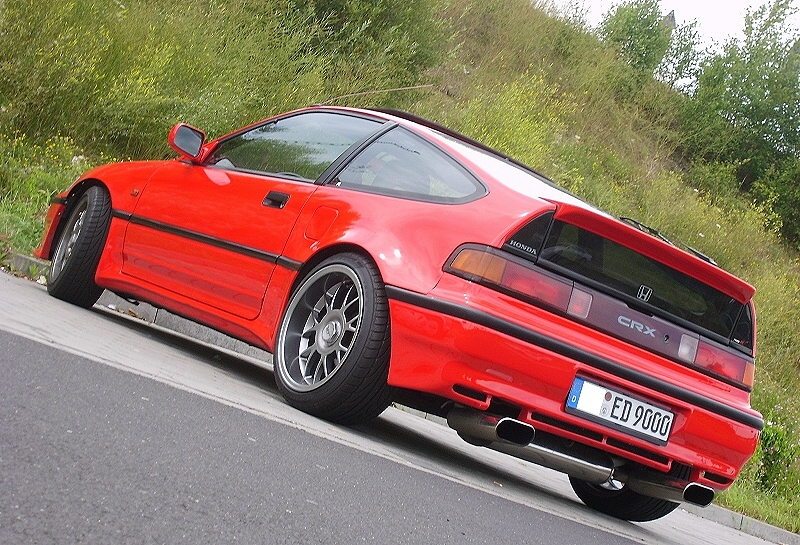 crx_shark_mtec2.jpg