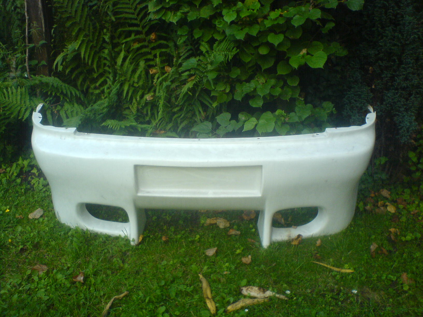 DSC00178.JPG