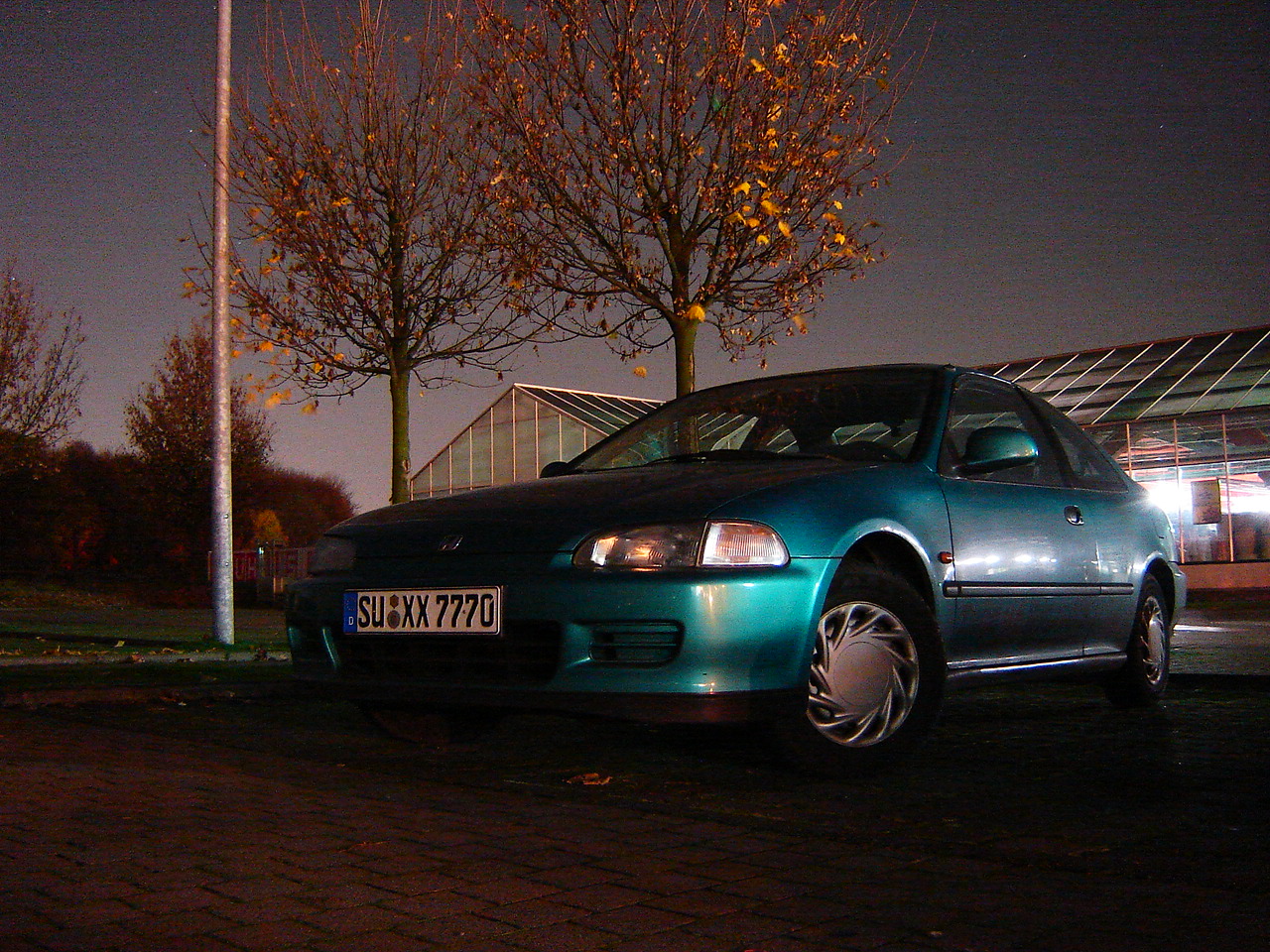 DSC07982.JPG