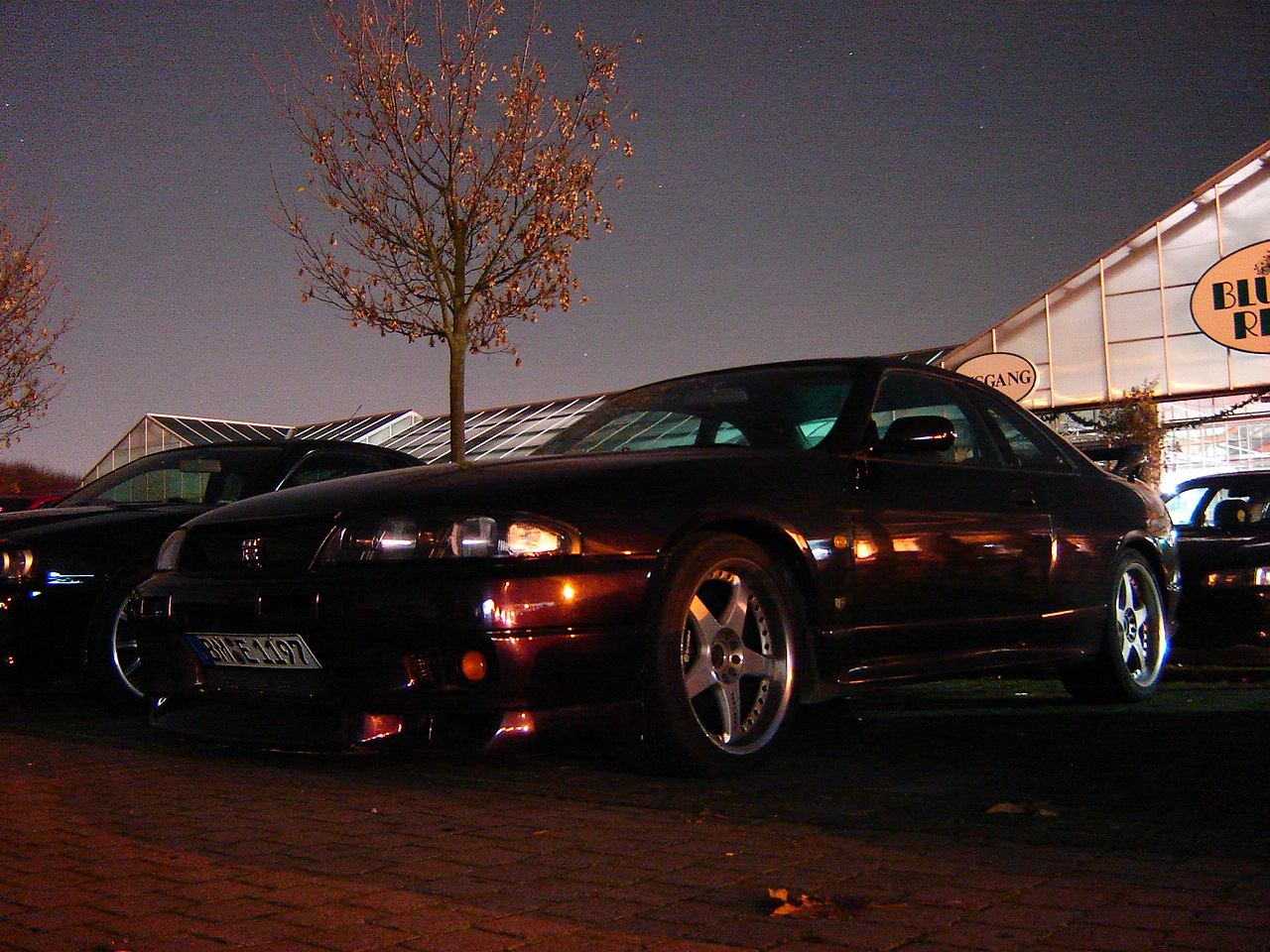 DSC07985.JPG