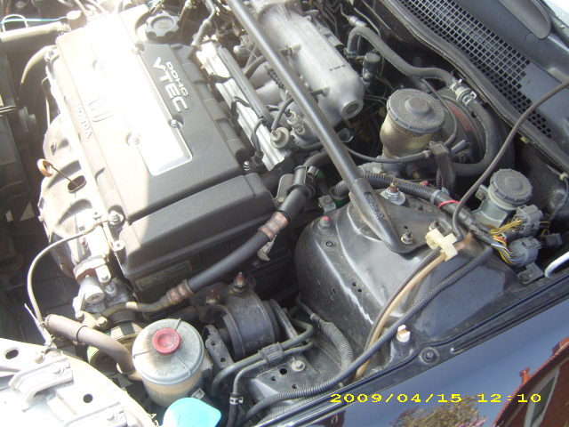 DSCI0047.JPG
